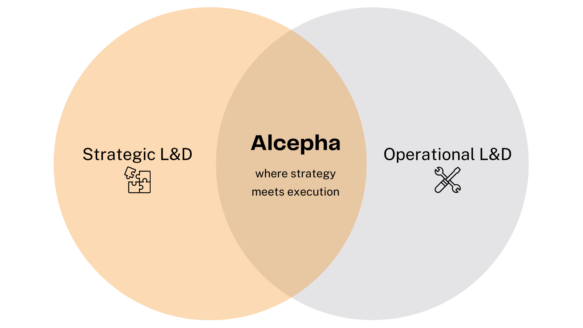 Alcepha delivers Learning & Development (L&D) work where strategy and execution meet!